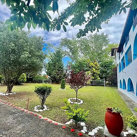 Blue Garden *